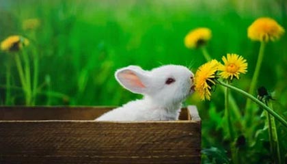 mk体育官网入口-李娜锁定胜局网球公开赛，李娜网球决赛