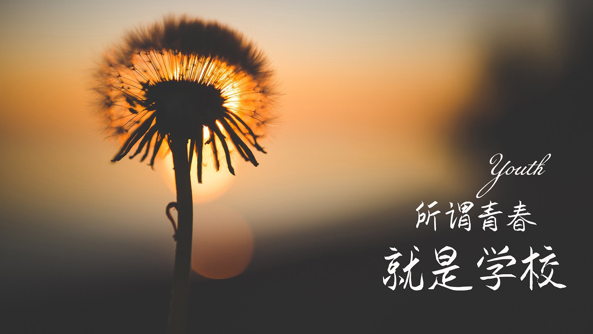 体育教学过程中的性别平等实践调研，体育领域的男女平等问题法语