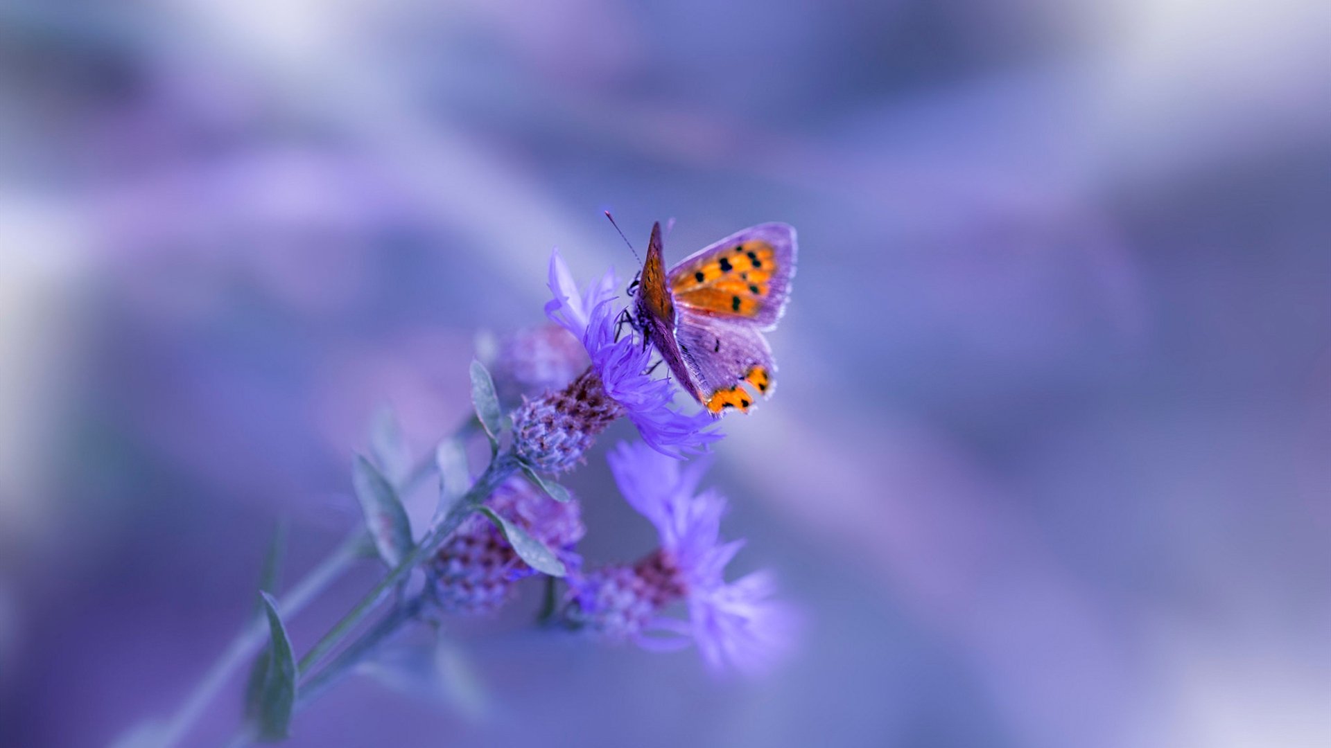 体育赛事创新商业模式,体育赛事营销有哪些创新方式