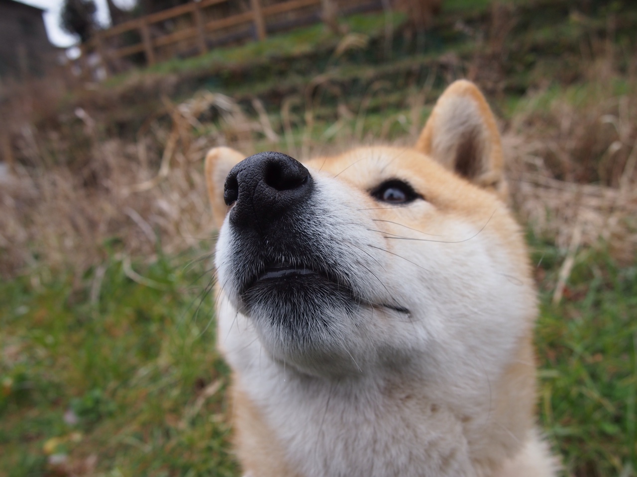 体育赛事创新商业模式,体育赛事营销有哪些创新方式