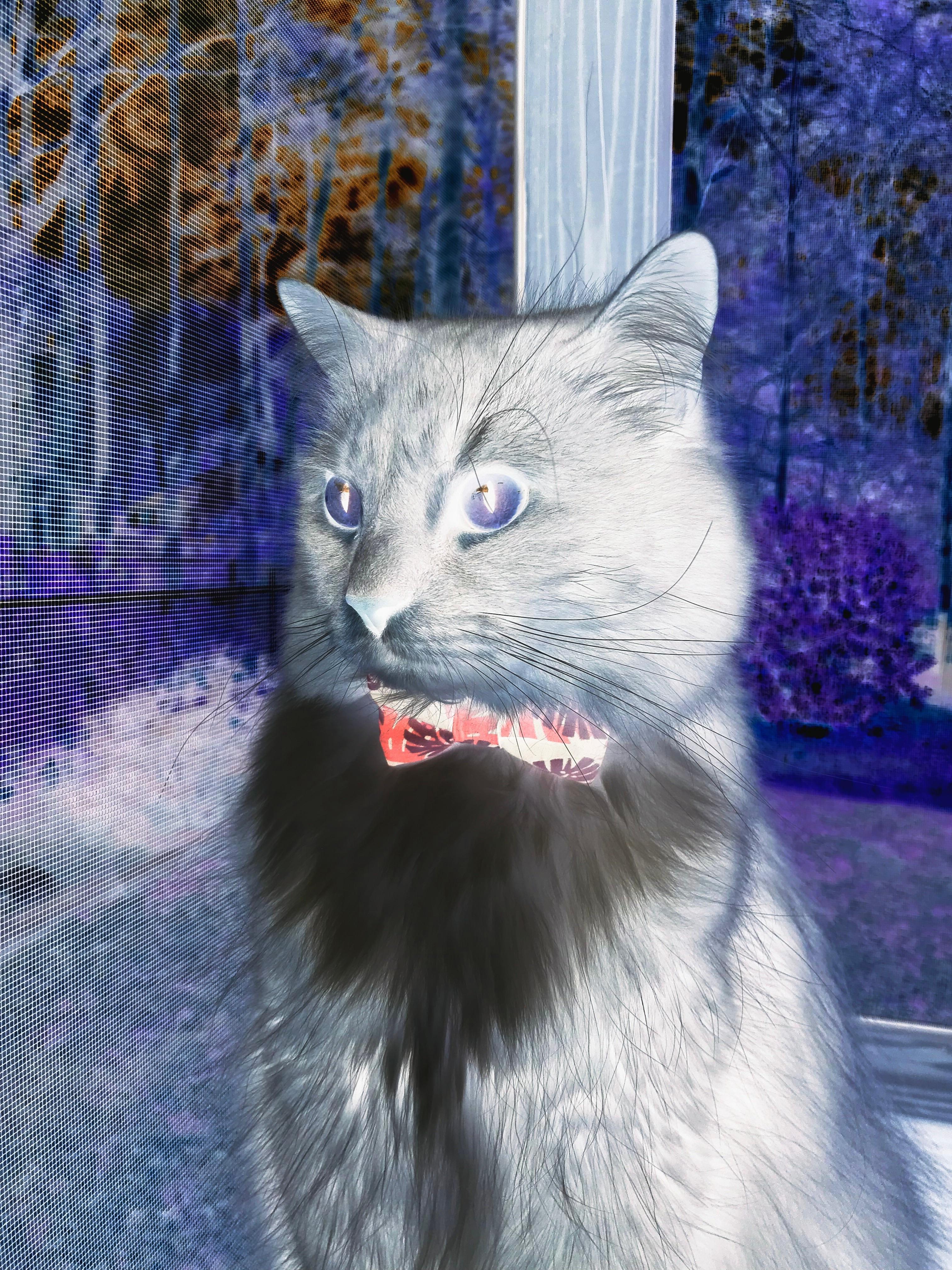 德甲 2025 年冬季训练营温度管理出勤率研究,德甲青训体系