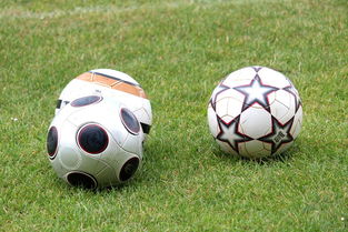 mk体育平台登录入口-未来足球市场：数字资产与足球产业的融合，足球概念数字货币