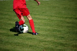 mk体育网页-篮球运动员心理健康服务体系研究，篮球运动员心理健康服务体系研究论文