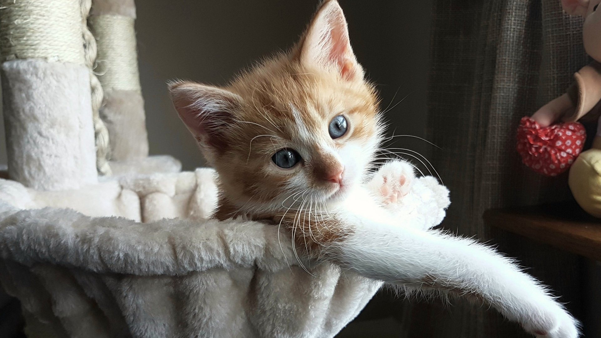 mk体育官网-“宽板滑水：东三叉湖赛场掀起水上运动新风潮”