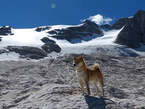 “羽毛球：简阳文体中心赛场上演绝妙击球与战术博弈”