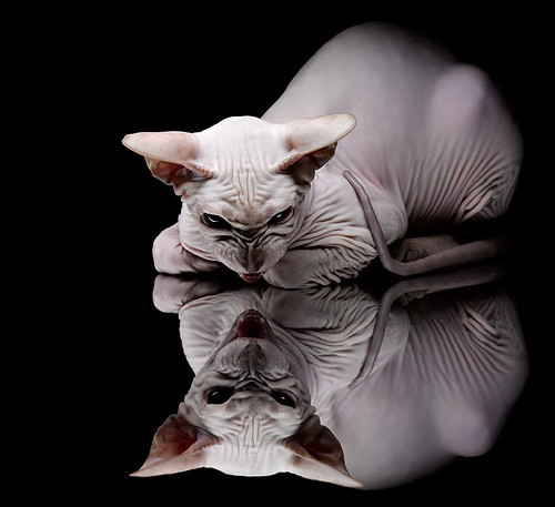 中国三人篮球男队积极拓展战术深度,中国三人篮球男队战绩