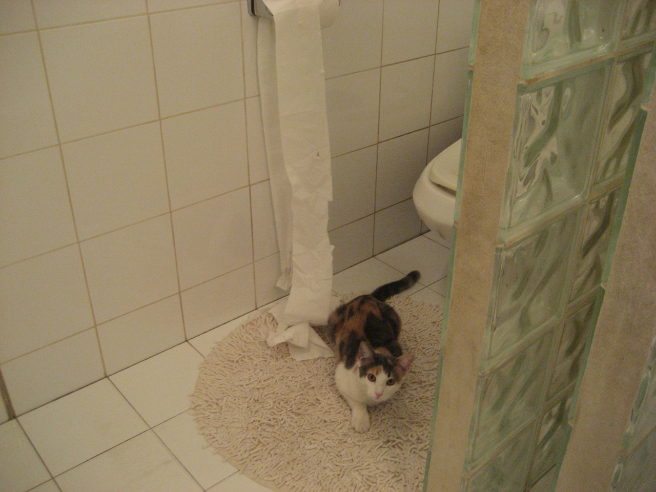 北京鸭后卫线发力带动整体进攻节奏,北京鸭队