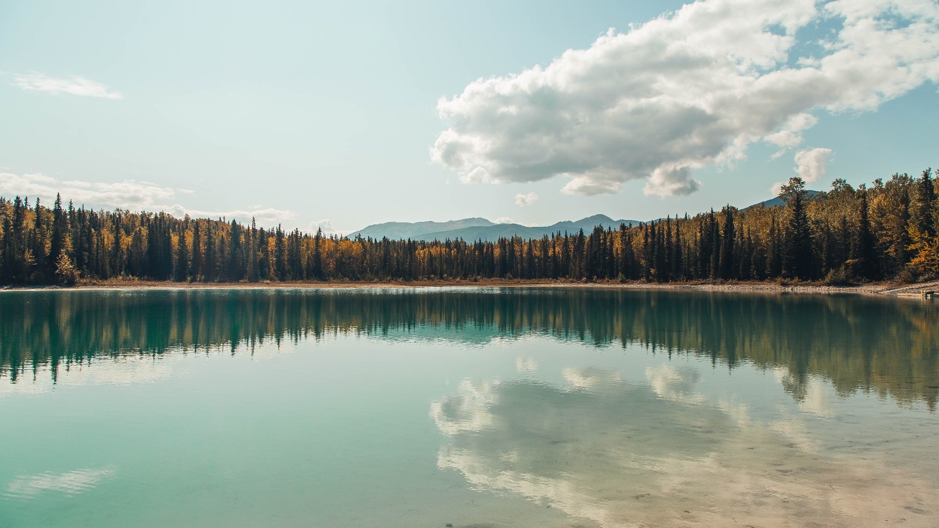 青少年射箭挑战赛首次加入夜场赛段,2020青少年射箭比赛