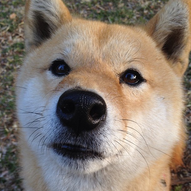 乌干达女篮在非洲锦标赛中持续突破,体育水平不断提升,乌干达篮球