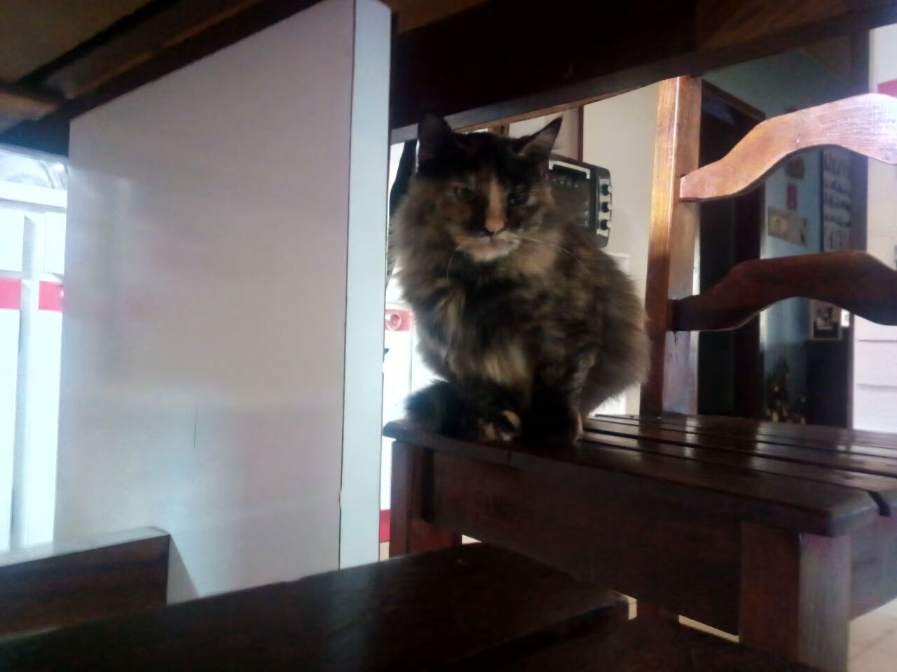 意甲战术分析中的数据支持，意甲战报结果