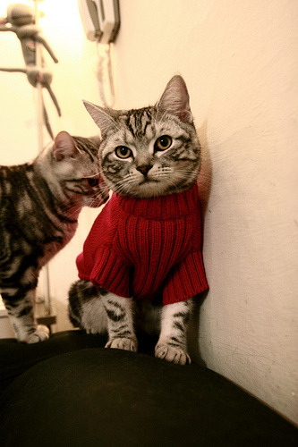 曼联主场球迷齐声高唱队歌壮行,曼联队歌现场版