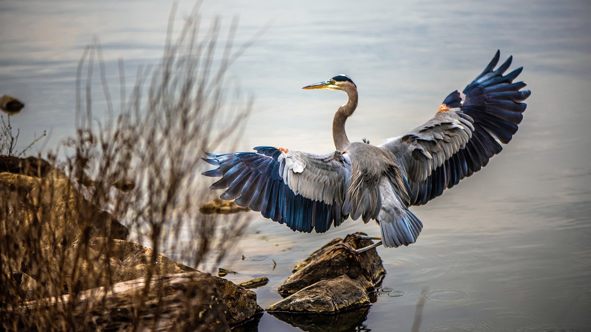 足球智能技术升级，VAR系统再度优化，足球var技术应用