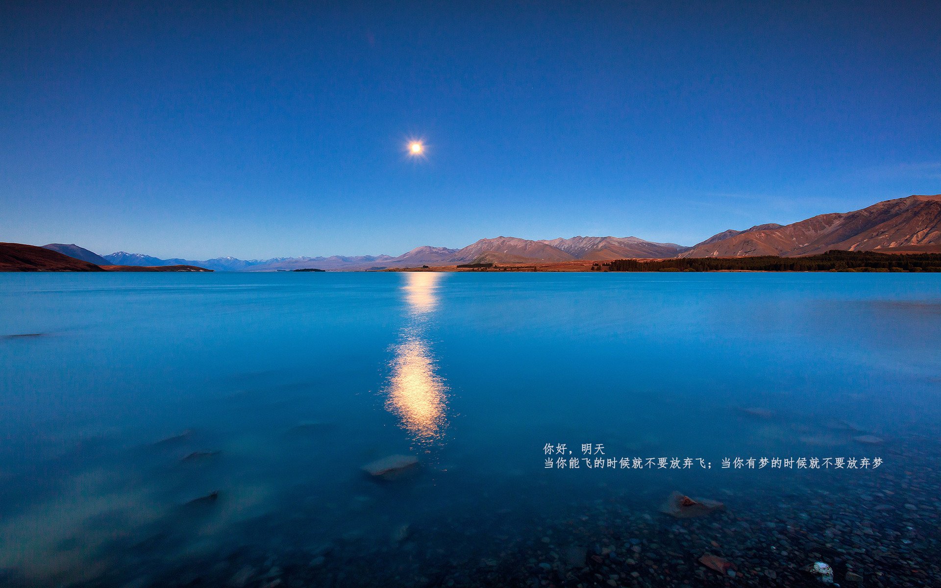 麦金托什女子800米自由泳决赛表现稳健，加拿大游泳运动员麦金托什