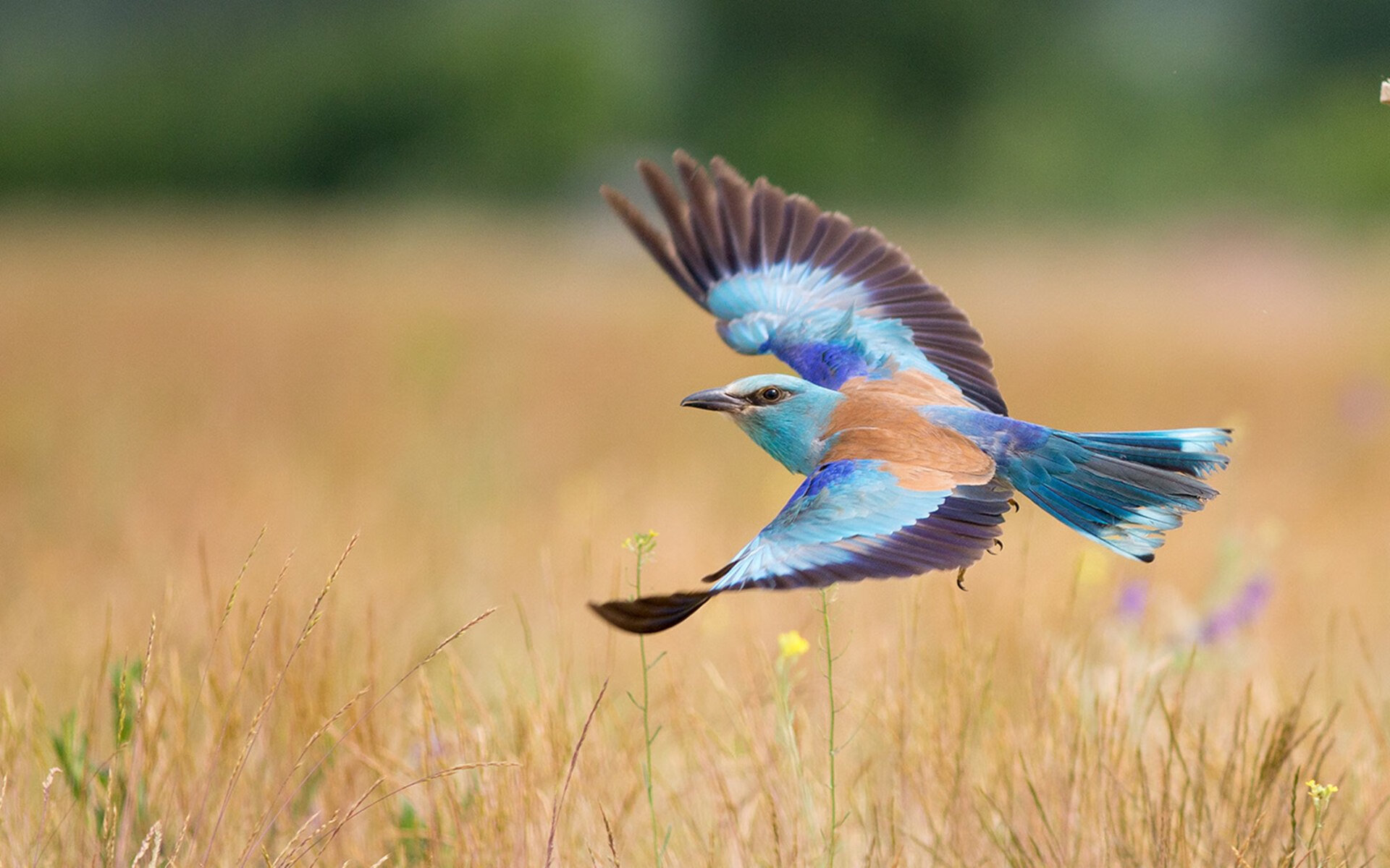【校园惨案追责】21人遇难 原总务主任申诉无罪被驳回，校园疑案12年事件